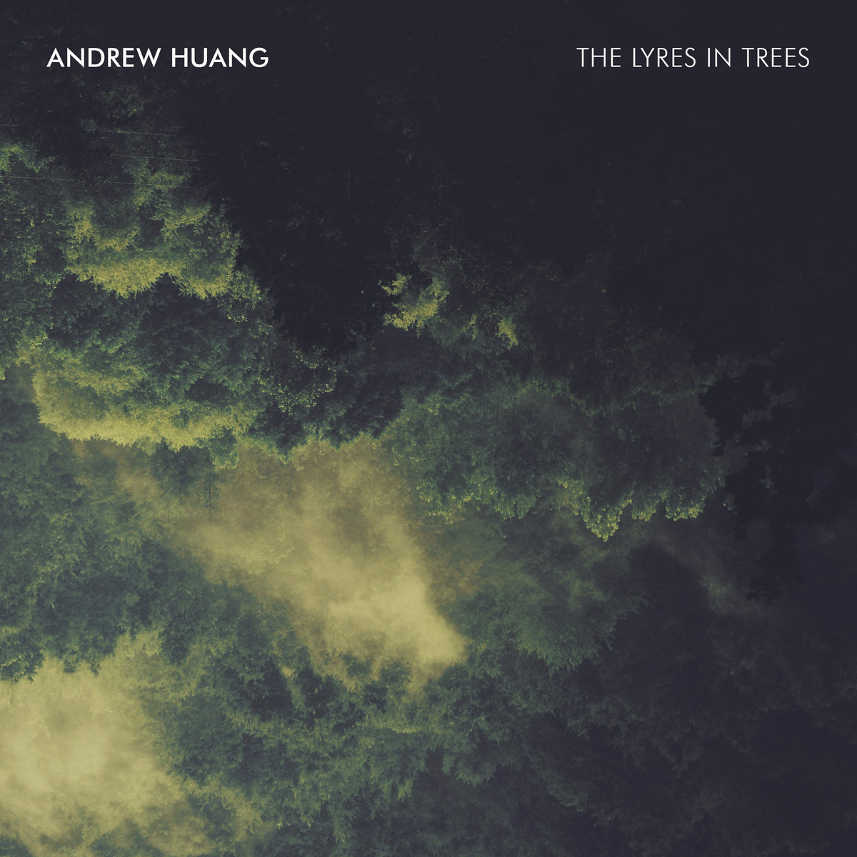 Album art for The Lyres in Trees by Andrew Huang (2017) 